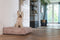 Designed by Lotte Ribbed - Hondenkussen - Roze - 70 x 55 cm - Hond
