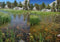 EOL - 95 mm - Universele Circulair Polarisatie Lensfilter - Onderdrukt reflecties en versterkt luchtcontrast