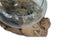 Vaas op wortelhout - ø30x23 - Naturel - Teakhout/glas