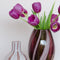 Vaas Senna aubergine L