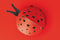 Vacavaliente - Amigos Desk Organiser Ladybug