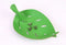 Vacavaliente - Amigos Organiser Leaf