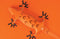 Vacavaliente - Amigos Organiser Magnetisch Hagedis - Gerecycled Leer - Oranje