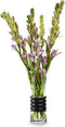 Vaas met zwarte ringen 'pleun' h30 d12 cm