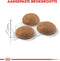 Royal Canin Outdoor - Kattenvoer - 400 g