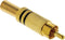 Valueline VGAP24900B Connector Rca Male Metaal Verguld