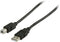 Valueline Vlcp60100b10 Usb 2.0 Usb A Male - Usb B Male Kabel 1,00 M Zwart