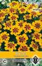 Van Hemert & Co - 2 stuks Tagetes patula nana Marietta