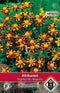 Van Hemert & Co - 2 stuks Tagetes patula nana Mr. Majestic
