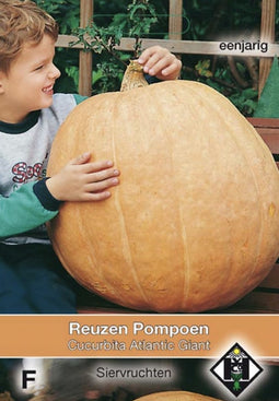 Van hemert co - Cucurbita maxima Atlantic Giant