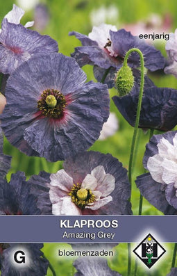 Van Hemert & Co - Klaproos Amazing Grey (Papaver rhoeas)