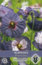 Van Hemert & Co - Klaproos Amazing Grey (Papaver rhoeas)