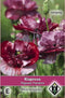 Van Hemert & Co - Klaproos Pandora (Papaver Rhoeas)
