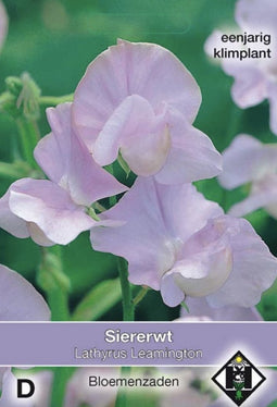 Van hemert co - Lathyrus odoratus Leamington
