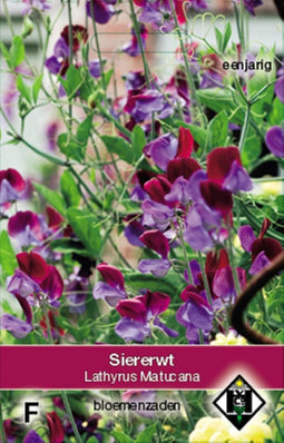 Van Hemert & Co Lathyrus Odoratus Matucana Siererwt - 5 Plantjes