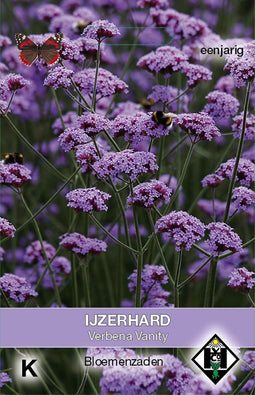 Van hemert co - Verbena bonariensis Vanity