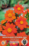 Van Hemert - Mexicaanse zonnebloem Tithonia Torch