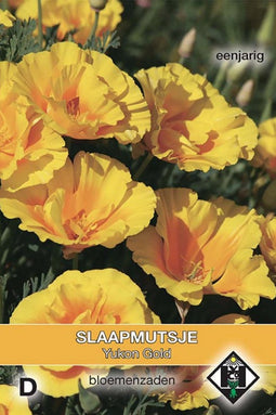 Van Hemert - Slaapmutsje Yukon Gold (Eschscholzia californica)