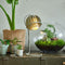 Van Tjalle en Jasper | Atmosphere bureaulamp - Deep Blue | Staal (blauw) en MDF (hout , blauw) | E14 fitting | Sfeer licht | Schemerlamp | Uniek Dutch Design | Bouwpakket