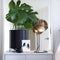 Van Tjalle en Jasper | Atmosphere bureaulamp - Naturel | Staal (grijs) en MDF (hout) | E14 fitting | Sfeer licht | Schemerlamp | Uniek Dutch Design | Bouwpakket