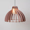 Van Tjalle en Jasper | Granny Smith hanglamp - Aged Pink | Bouwpakket | MDF (hout) | Roze | E27 fitting | Laser gesneden | Sfeer licht | Sfeervolle verlichting | Uniek Dutch Design