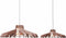 Van Tjalle en Jasper | Nikolamp Tesla XL hanglamp - Natural | Extra Groot | MDF (hout) - Laser gesneden | Hout kleur | E27 fitting | Dimbaar - Geschikt voor dimbare E27 LED lichtbron | Uniek Dutch Design Product | Gemaakt in Amsterdam