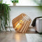 Van Tjalle en Jasper | Spot-nik XL vloerlamp - Dirty Mint | Bouwpakket | MDF (hout) | Mint groen | E27 fitting | Laser gesneden | Sfeer licht | schemerlamp | Dutch Design