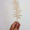 Varen blad van hout