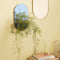 Arch Wall Mirror Blue