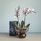 Show Vase Pink/Amber