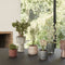 Seed Pots Dark blue (set of 2)