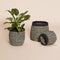 Sprout Baskets Black/Natural (set of 3)