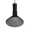 Ray Pendant Black