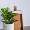 Hübsch Gem Candlestick Orange/Grey