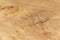Rootsmann Boomstamtafel XL | Hout