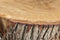 Rootsmann Boomstamtafel M | Hout