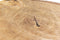 Rootsmann Boomstamtafel M | Hout