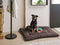Beliani KARANTU - Pet bed - Brown - Polyester