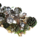 Beliani PELSO - Candlestick - Green - Pine wood