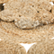 Beliani GERDEK - Short pile rug - Beige - 135 cm - Jute