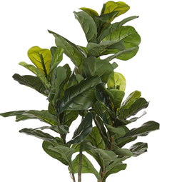 Beliani FICUS LYRATA - Kunstplant - Zwart - Synthetisch materiaal