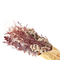Beliani ARABA - Dried flower bouquet - Natural - Dried flowers