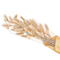 Beliani SANABRIA - Dried flower bouquet - Natural - Dried flowers
