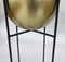 Plant stand set Fletcher - ø22x61/ø17x46 - Gold/black - Iron