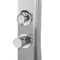 Beliani OLZAI - Outdoor shower - Silver - Stainless steel