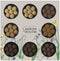 Lakrids by Bulow - Licorice with Chocolate - Spring Selection Box - Tasting box - 8 flavors
