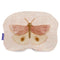 Happy Friday Butterfly Cushion 40x30 cm