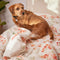 Happy Friday Riomaggiore Duvet cover