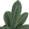 Happy Friday Succulent Felt deco 25x25x42 cm