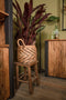 Stool Pank - antique - teak